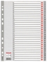 Immagine di Divisore in PPL numerico 1/12 max