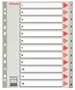 Immagine di Divisore in PPL numerico 1/31 A4 max