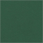Immagine di Cartoncino monoruvido 100x70 conf. 25 verde abete