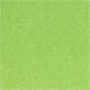 Immagine di Cartoncino Fabriano Liscio 100X70 10 PZ 200 GR Verde Pisello