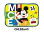 Immagine di MICKEY TOVAGLIETTA POLIESTERE IMPERMEABILE 30X40